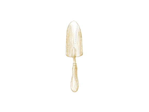 Gold coffee scoop illustration with transparent background